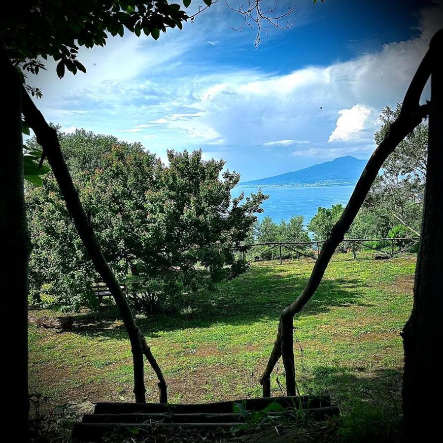 Habitat Eco Farm * Sorrent